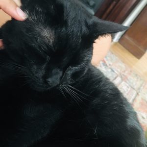 Meet your Posher, Adriana